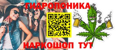 сатива Лесосибирск