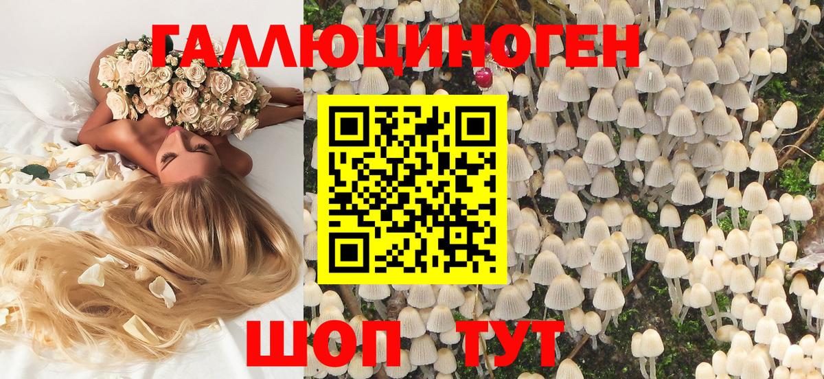 Дзержинский  Галлюциногенные грибы Magic Shrooms  Вход с VPN 